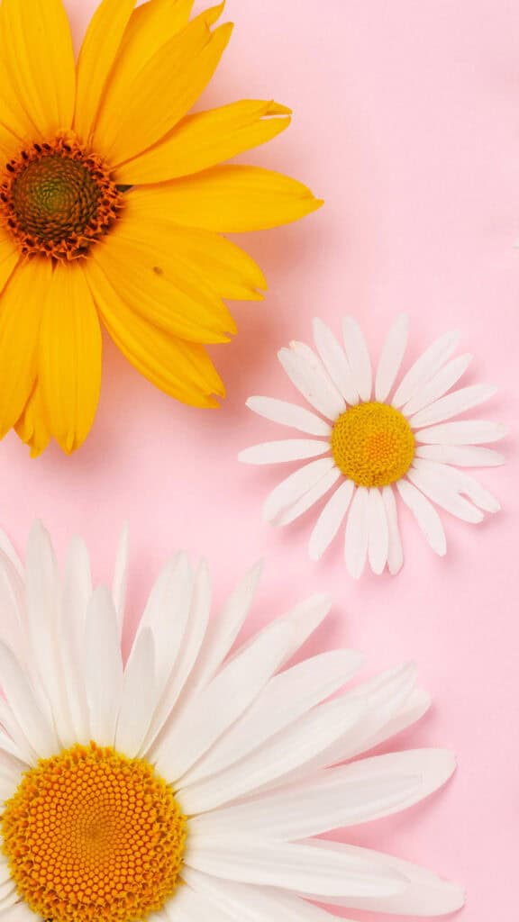 April 2025 Wallpapers – 40 Free Phone &#038; Desktop Calendars!, Oh So Lovely Blog