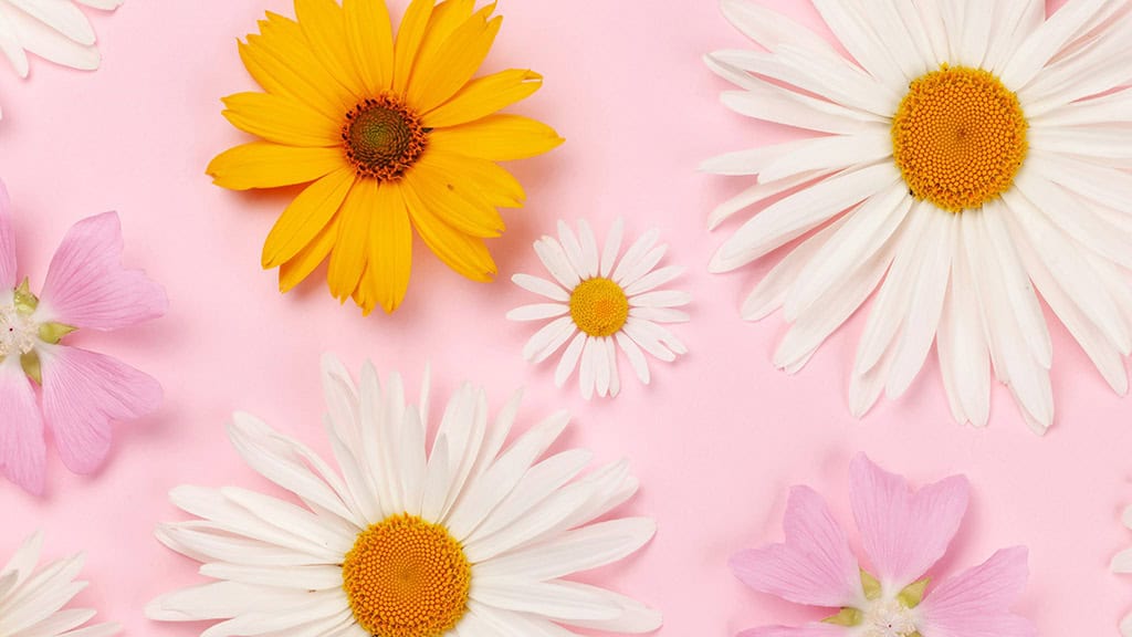 April 2025 Wallpapers – 40 Free Phone &#038; Desktop Calendars!, Oh So Lovely Blog