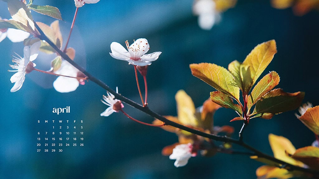 April 2025 Wallpapers – 40 Free Phone &#038; Desktop Calendars!, Oh So Lovely Blog