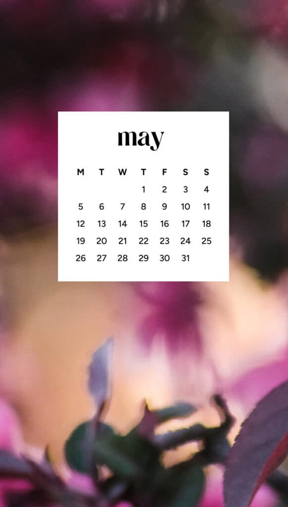 MAY 2025 WALLPAPERS – 50 FREE PHONE &amp; DESKTOP CALENDARS + AAPI &amp; Jewish American heritage month, Oh So Lovely Blog