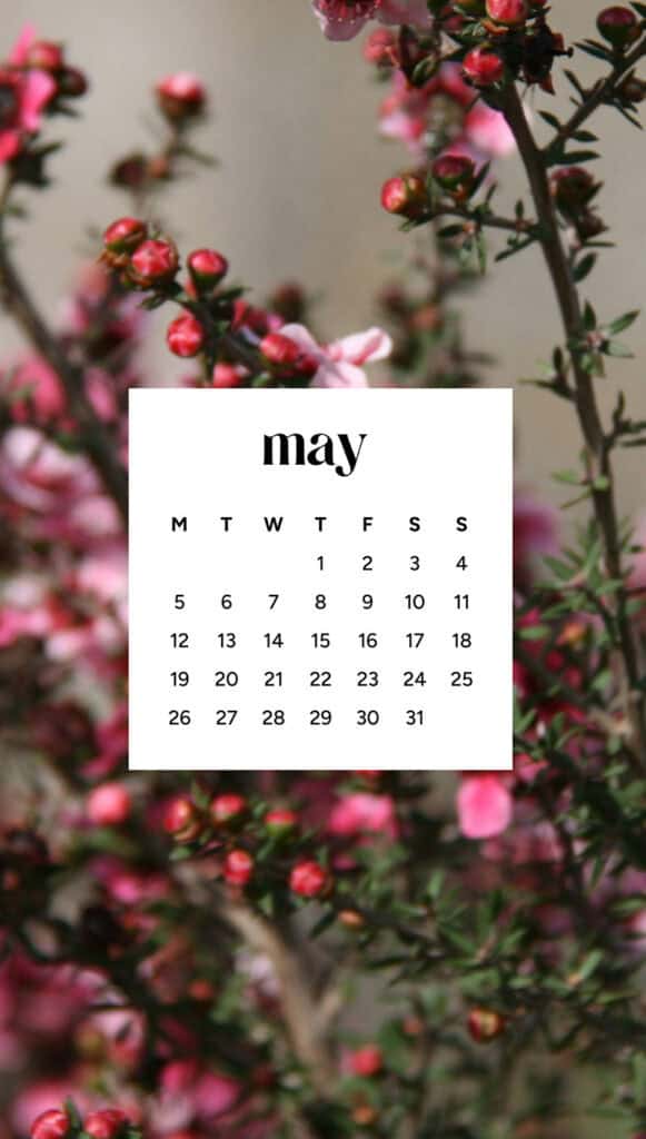 MAY 2025 WALLPAPERS – 50 FREE PHONE &amp; DESKTOP CALENDARS + AAPI &amp; Jewish American heritage month, Oh So Lovely Blog