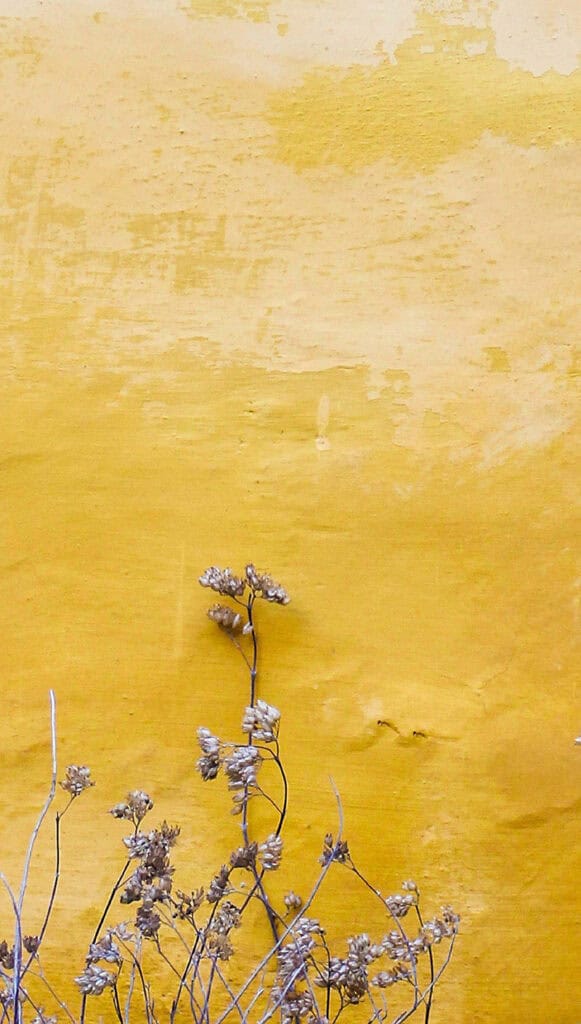 MAY 2025 WALLPAPERS – 50 FREE PHONE &amp; DESKTOP CALENDARS + AAPI &amp; Jewish American heritage month, Oh So Lovely Blog