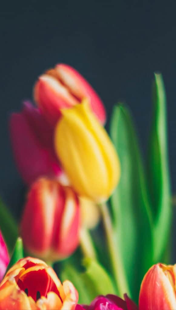 MAY 2025 WALLPAPERS – 50 FREE PHONE &amp; DESKTOP CALENDARS + AAPI &amp; Jewish American heritage month, Oh So Lovely Blog