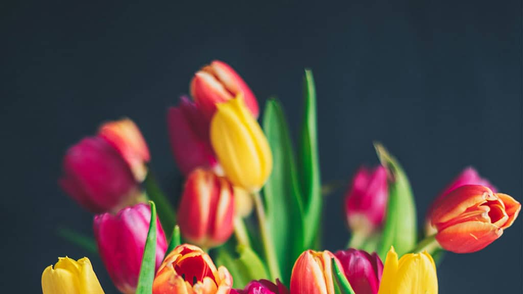 MAY 2025 WALLPAPERS – 50 FREE PHONE &amp; DESKTOP CALENDARS + AAPI &amp; Jewish American heritage month, Oh So Lovely Blog