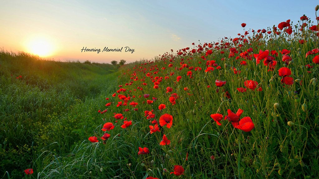MAY 2025 WALLPAPERS – 50 FREE PHONE &amp; DESKTOP CALENDARS + AAPI &amp; Jewish American heritage month, Oh So Lovely Blog