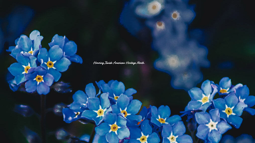 MAY 2025 WALLPAPERS – 50 FREE PHONE &amp; DESKTOP CALENDARS + AAPI &amp; Jewish American heritage month, Oh So Lovely Blog