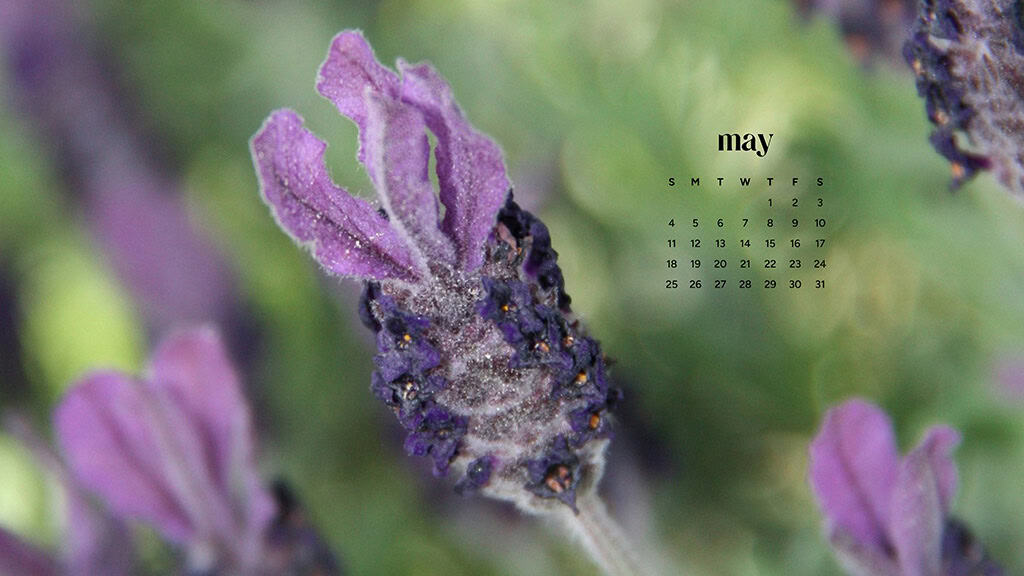 MAY 2025 WALLPAPERS – 50 FREE PHONE &amp; DESKTOP CALENDARS + AAPI &amp; Jewish American heritage month, Oh So Lovely Blog