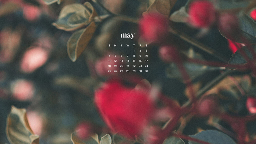 MAY 2025 WALLPAPERS – 50 FREE PHONE &amp; DESKTOP CALENDARS + AAPI &amp; Jewish American heritage month, Oh So Lovely Blog
