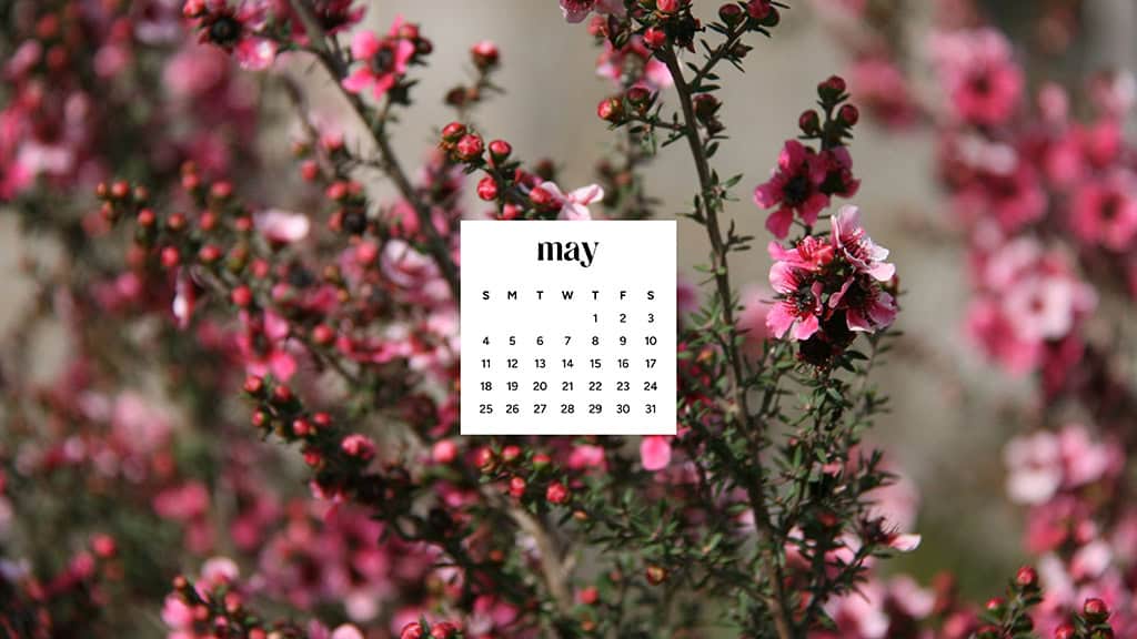 MAY 2025 WALLPAPERS – 50 FREE PHONE &amp; DESKTOP CALENDARS + AAPI &amp; Jewish American heritage month, Oh So Lovely Blog