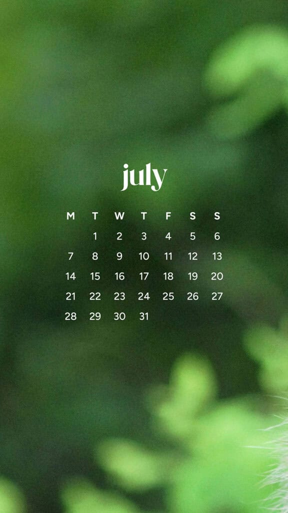 July 2025 Wallpapers – 50 Free Phone &amp; Desktop Calendars + Disability Pride, Oh So Lovely Blog