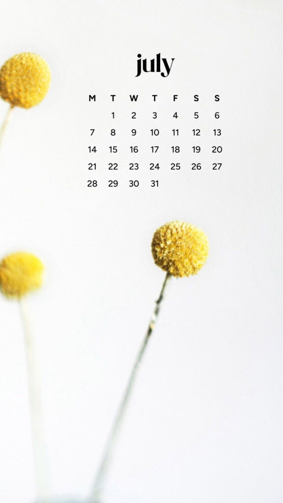 July 2025 Wallpapers – 50 Free Phone &amp; Desktop Calendars + Disability Pride, Oh So Lovely Blog