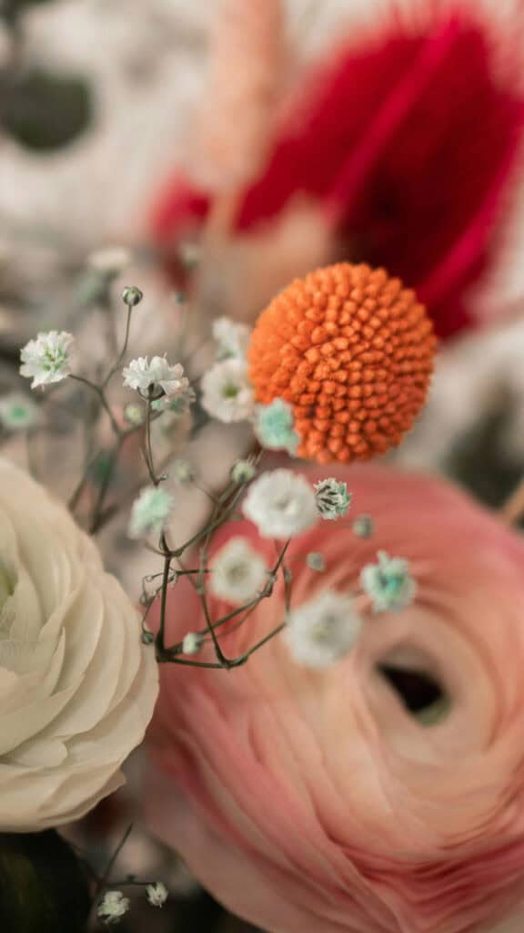 July 2025 Wallpapers – 50 Free Phone &amp; Desktop Calendars + Disability Pride, Oh So Lovely Blog