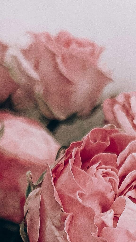 July 2025 Wallpapers – 50 Free Phone &amp; Desktop Calendars + Disability Pride, Oh So Lovely Blog