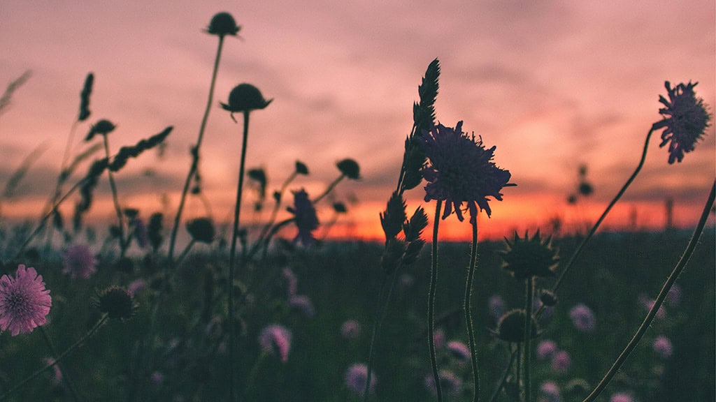 July 2025 Wallpapers – 50 Free Phone &amp; Desktop Calendars + Disability Pride, Oh So Lovely Blog