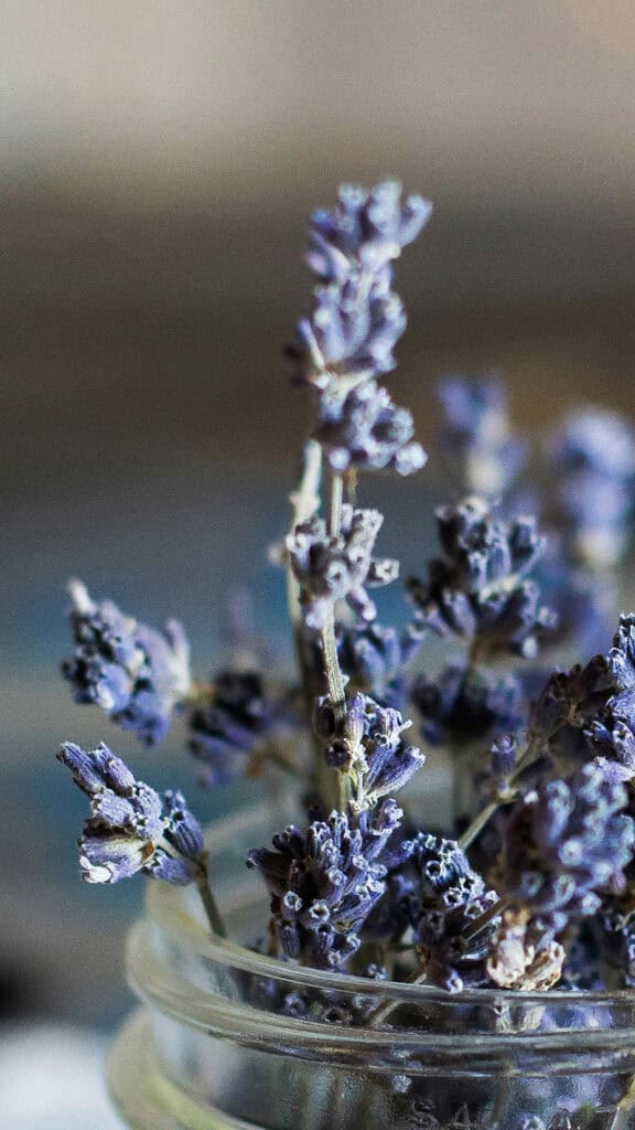 July 2025 Wallpapers – 50 Free Phone &amp; Desktop Calendars + Disability Pride, Oh So Lovely Blog