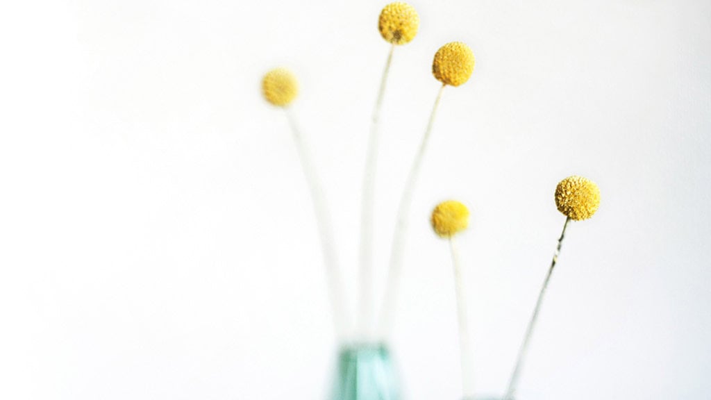 July 2025 Wallpapers – 50 Free Phone &amp; Desktop Calendars + Disability Pride, Oh So Lovely Blog