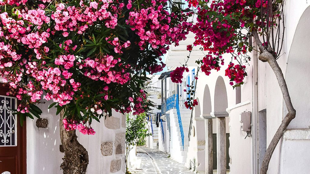 July 2025 Wallpapers – 50 Free Phone &amp; Desktop Calendars + Disability Pride, Oh So Lovely Blog