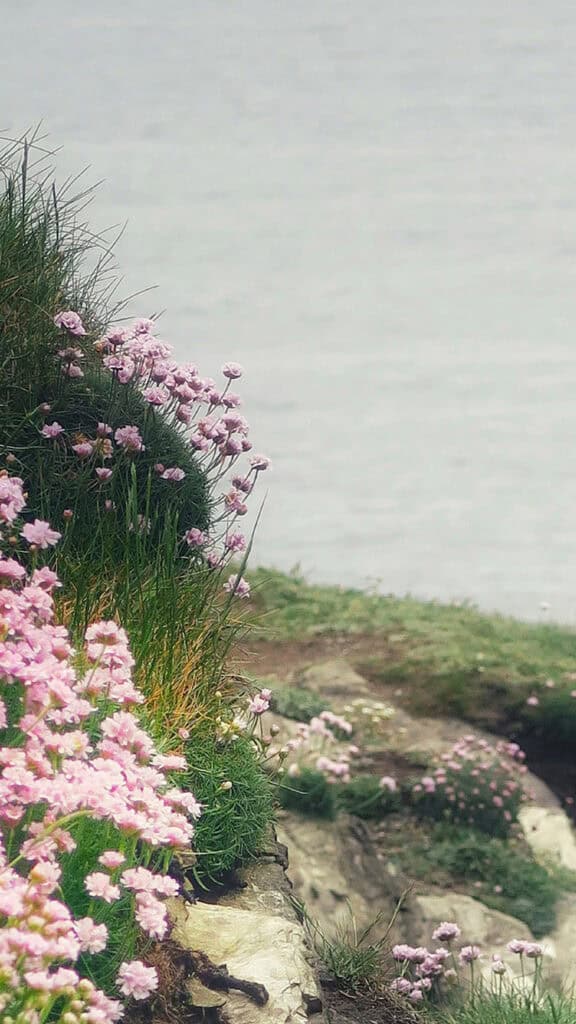 July 2025 Wallpapers – 50 Free Phone &amp; Desktop Calendars + Disability Pride, Oh So Lovely Blog