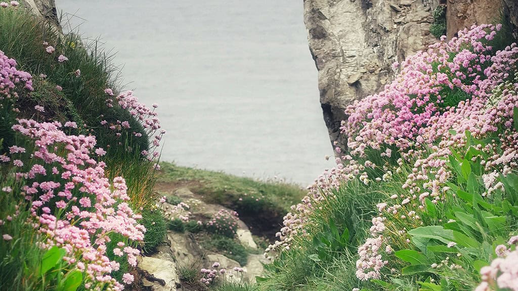 July 2025 Wallpapers – 50 Free Phone &amp; Desktop Calendars + Disability Pride, Oh So Lovely Blog