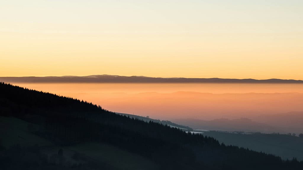 July 2025 Wallpapers – 50 Free Phone &amp; Desktop Calendars + Disability Pride, Oh So Lovely Blog