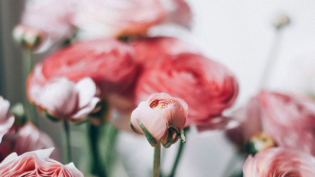 July 2025 Wallpapers – 50 Free Phone &amp; Desktop Calendars + Disability Pride, Oh So Lovely Blog