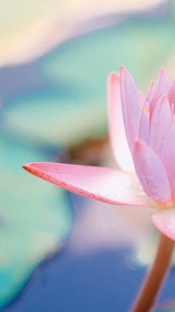 July 2025 Wallpapers – 50 Free Phone &amp; Desktop Calendars + Disability Pride, Oh So Lovely Blog