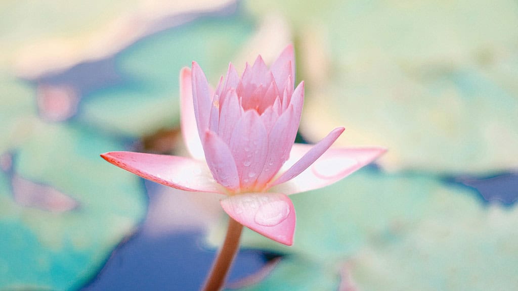 July 2025 Wallpapers – 50 Free Phone &amp; Desktop Calendars + Disability Pride, Oh So Lovely Blog