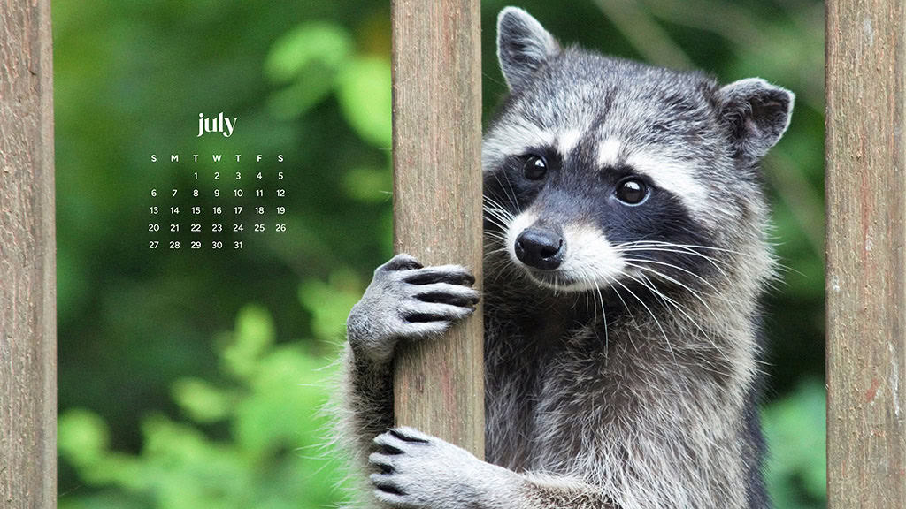 July 2025 Wallpapers – 50 Free Phone &amp; Desktop Calendars + Disability Pride, Oh So Lovely Blog