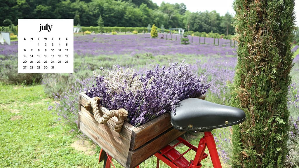 July 2025 Wallpapers – 50 Free Phone &amp; Desktop Calendars + Disability Pride, Oh So Lovely Blog