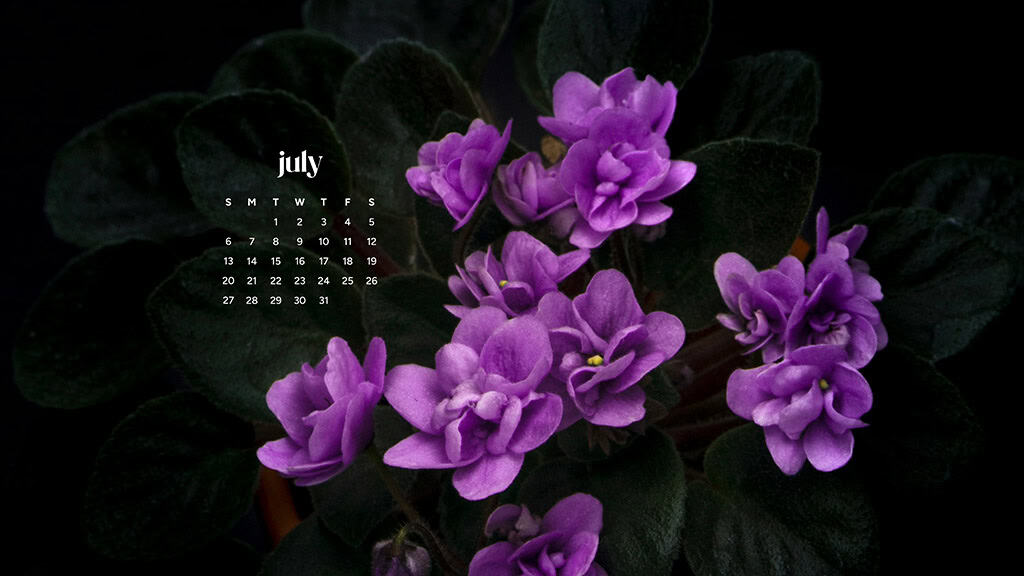 July 2025 Wallpapers – 50 Free Phone &amp; Desktop Calendars + Disability Pride, Oh So Lovely Blog