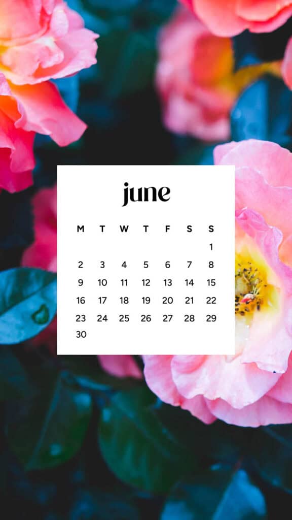 June 2025 Wallpapers – 50 free phone &amp; desktop calendars &amp; LGBTQIA+ Pride Month, Oh So Lovely Blog