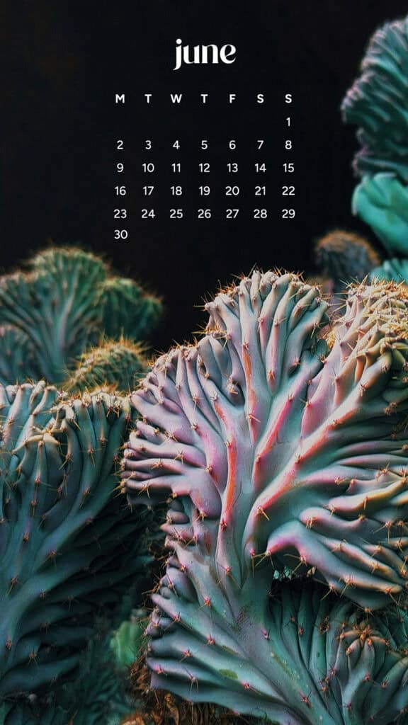 June 2025 Wallpapers – 50 free phone &amp; desktop calendars &amp; LGBTQIA+ Pride Month, Oh So Lovely Blog