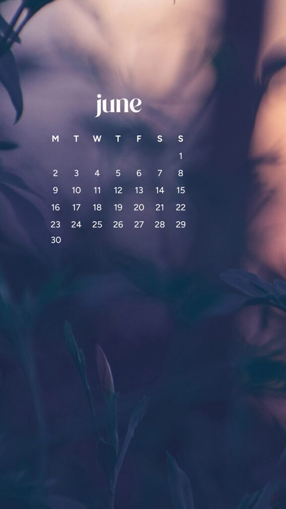 June 2025 Wallpapers – 50 free phone &amp; desktop calendars &amp; LGBTQIA+ Pride Month, Oh So Lovely Blog