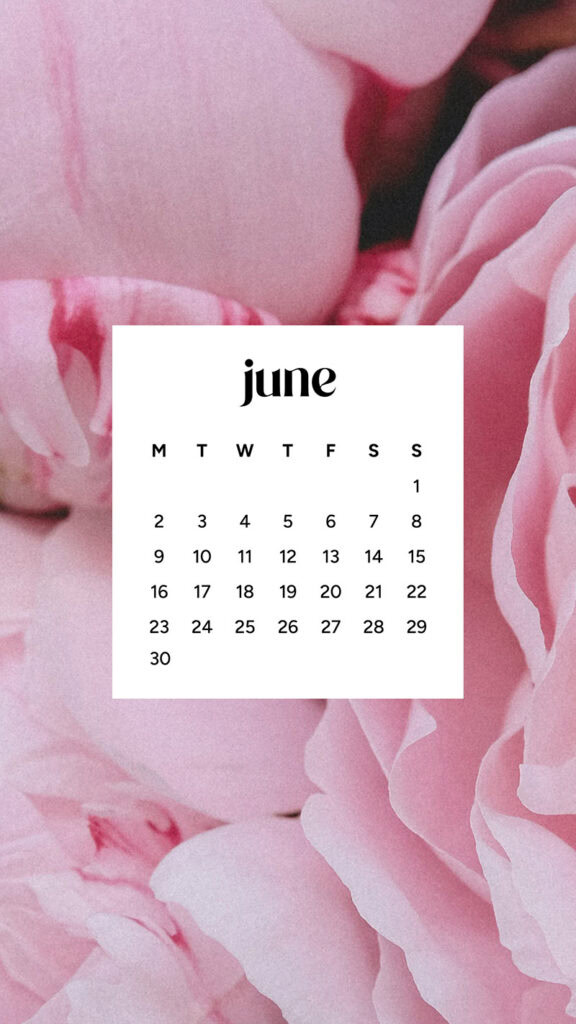 June 2025 Wallpapers – 50 free phone &amp; desktop calendars &amp; LGBTQIA+ Pride Month, Oh So Lovely Blog