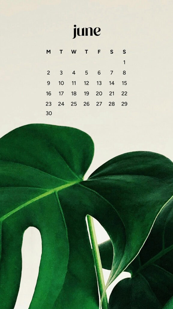 June 2025 Wallpapers – 50 free phone &amp; desktop calendars &amp; LGBTQIA+ Pride Month, Oh So Lovely Blog