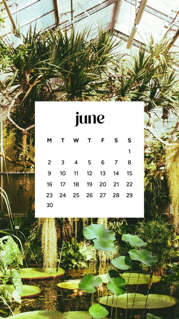 June 2025 Wallpapers – 50 free phone &amp; desktop calendars &amp; LGBTQIA+ Pride Month, Oh So Lovely Blog