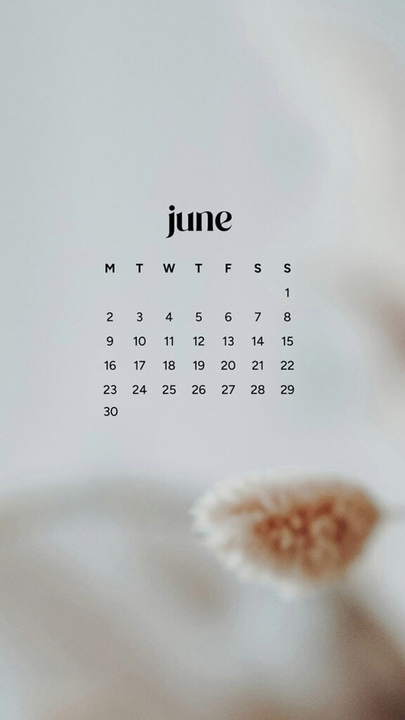 June 2025 Wallpapers – 50 free phone &amp; desktop calendars &amp; LGBTQIA+ Pride Month, Oh So Lovely Blog