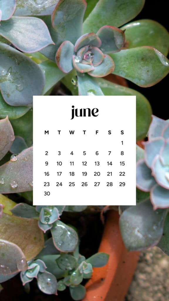 June 2025 Wallpapers – 50 free phone &amp; desktop calendars &amp; LGBTQIA+ Pride Month, Oh So Lovely Blog