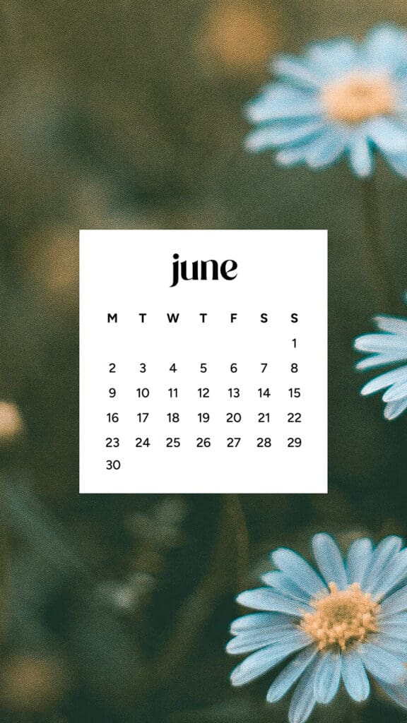 June 2025 Wallpapers – 50 free phone &amp; desktop calendars &amp; LGBTQIA+ Pride Month, Oh So Lovely Blog