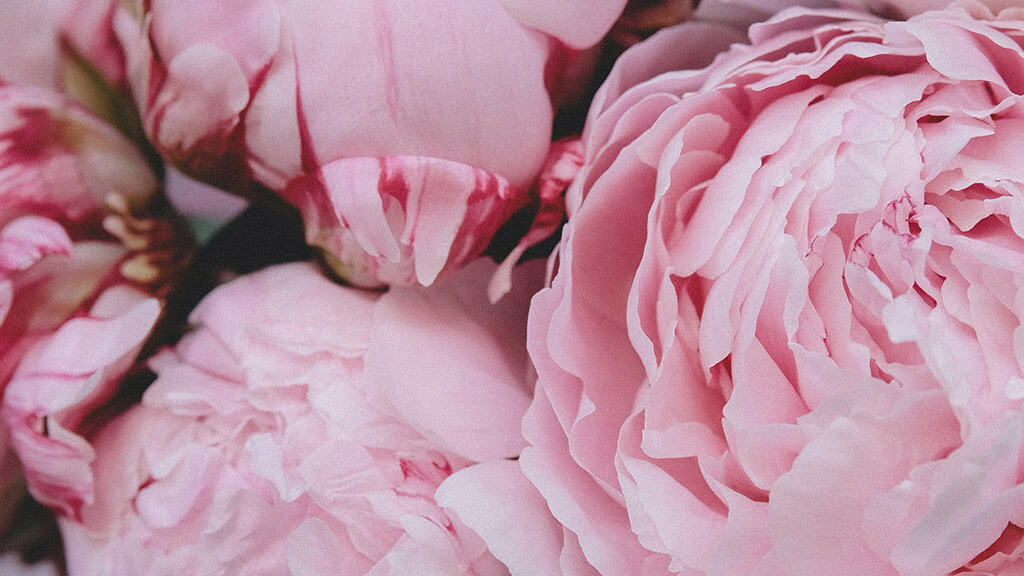 June 2025 Wallpapers – 50 free phone &amp; desktop calendars &amp; LGBTQIA+ Pride Month, Oh So Lovely Blog