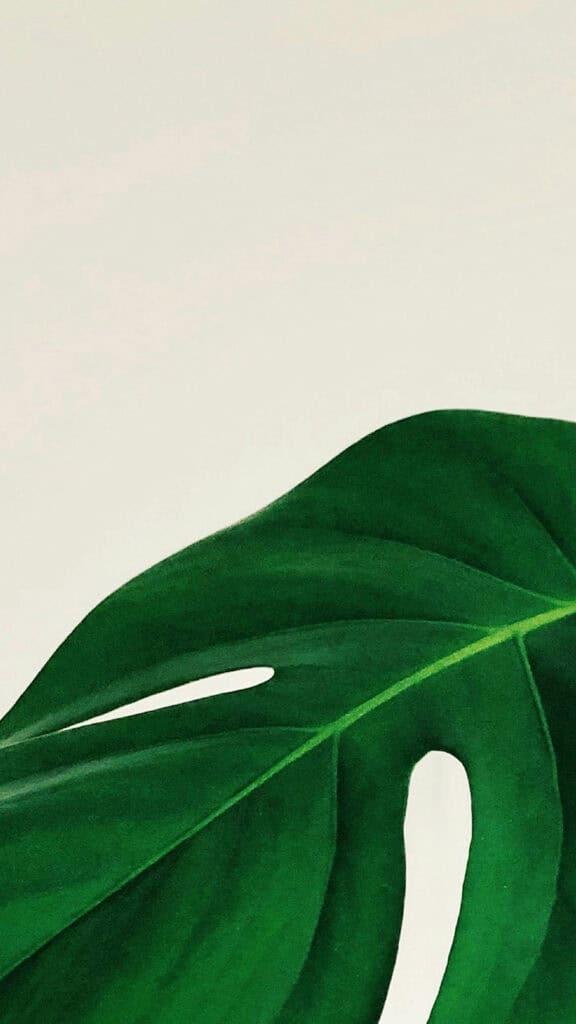 June 2025 Wallpapers – 50 free phone &amp; desktop calendars &amp; LGBTQIA+ Pride Month, Oh So Lovely Blog