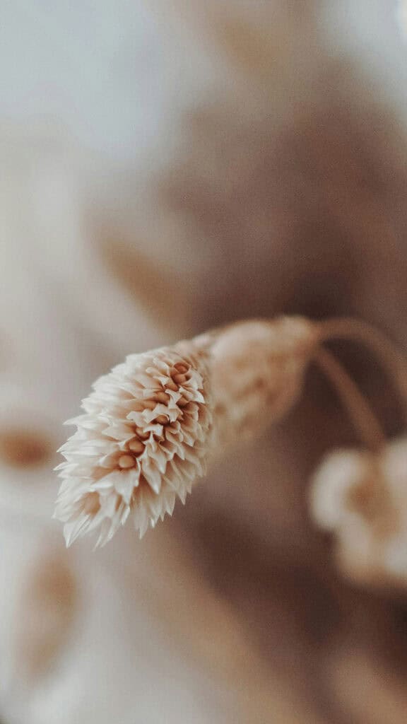 June 2025 Wallpapers – 50 free phone &amp; desktop calendars &amp; LGBTQIA+ Pride Month, Oh So Lovely Blog
