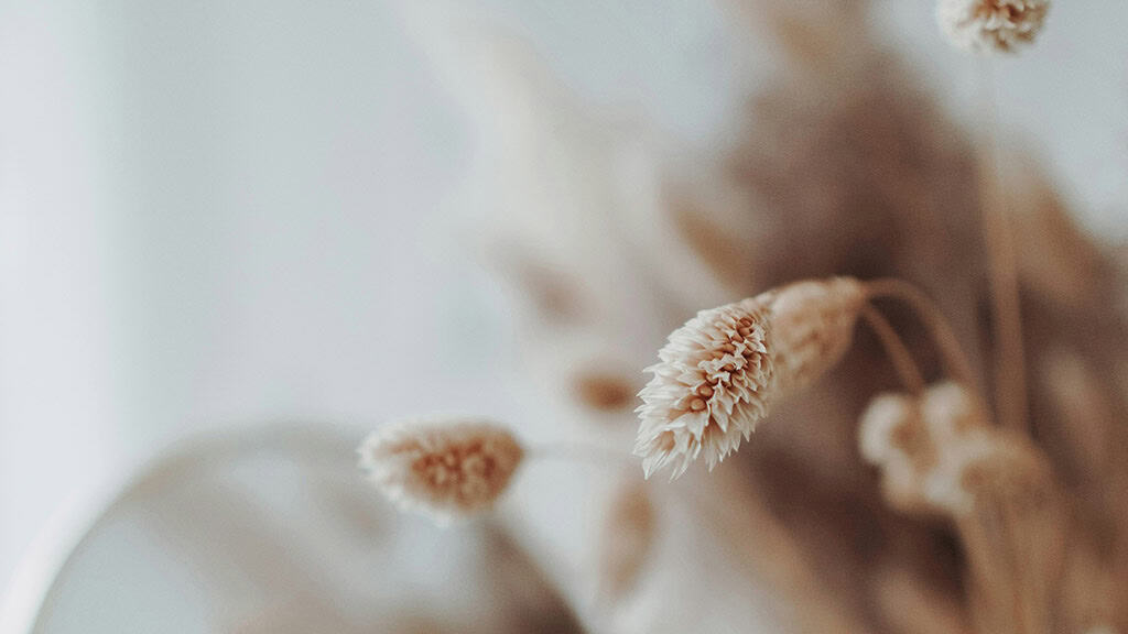 June 2025 Wallpapers – 50 free phone &amp; desktop calendars &amp; LGBTQIA+ Pride Month, Oh So Lovely Blog
