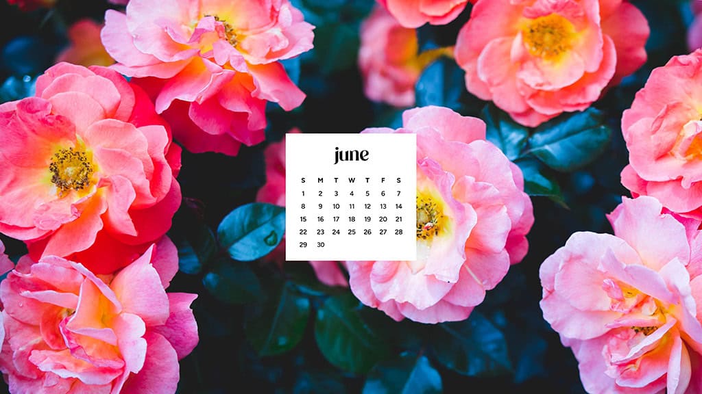 June 2025 Wallpapers – 50 free phone &amp; desktop calendars &amp; LGBTQIA+ Pride Month, Oh So Lovely Blog