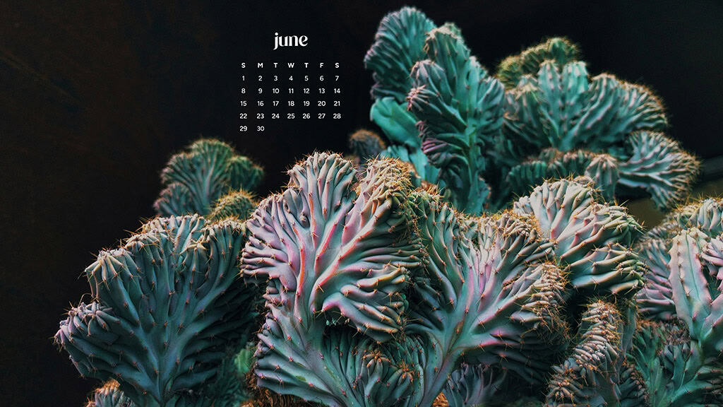 June 2025 Wallpapers – 50 free phone &amp; desktop calendars &amp; LGBTQIA+ Pride Month, Oh So Lovely Blog