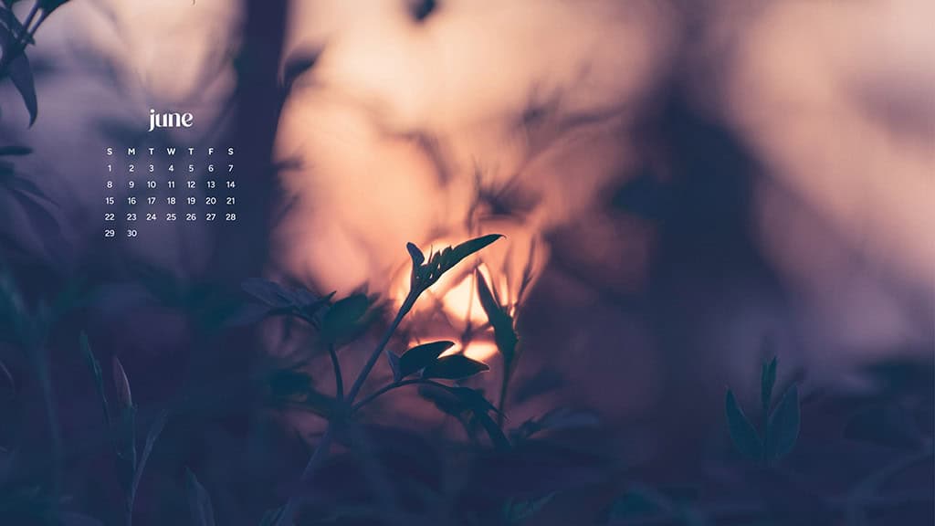 June 2025 Wallpapers – 50 free phone &amp; desktop calendars &amp; LGBTQIA+ Pride Month, Oh So Lovely Blog