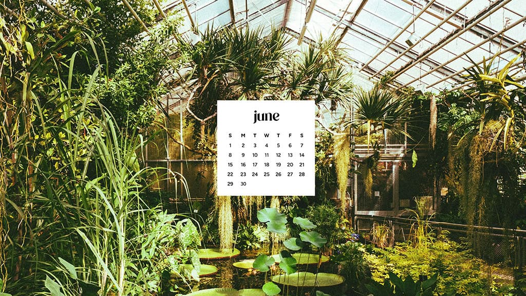 June 2025 Wallpapers – 50 free phone &amp; desktop calendars &amp; LGBTQIA+ Pride Month, Oh So Lovely Blog