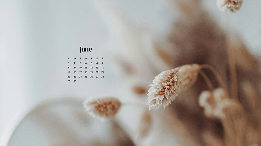 June 2025 Wallpapers – 50 free phone &amp; desktop calendars &amp; LGBTQIA+ Pride Month, Oh So Lovely Blog