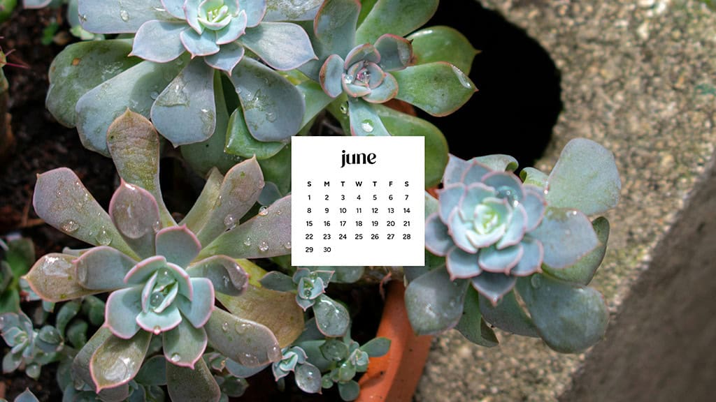 June 2025 Wallpapers – 50 free phone &amp; desktop calendars &amp; LGBTQIA+ Pride Month, Oh So Lovely Blog