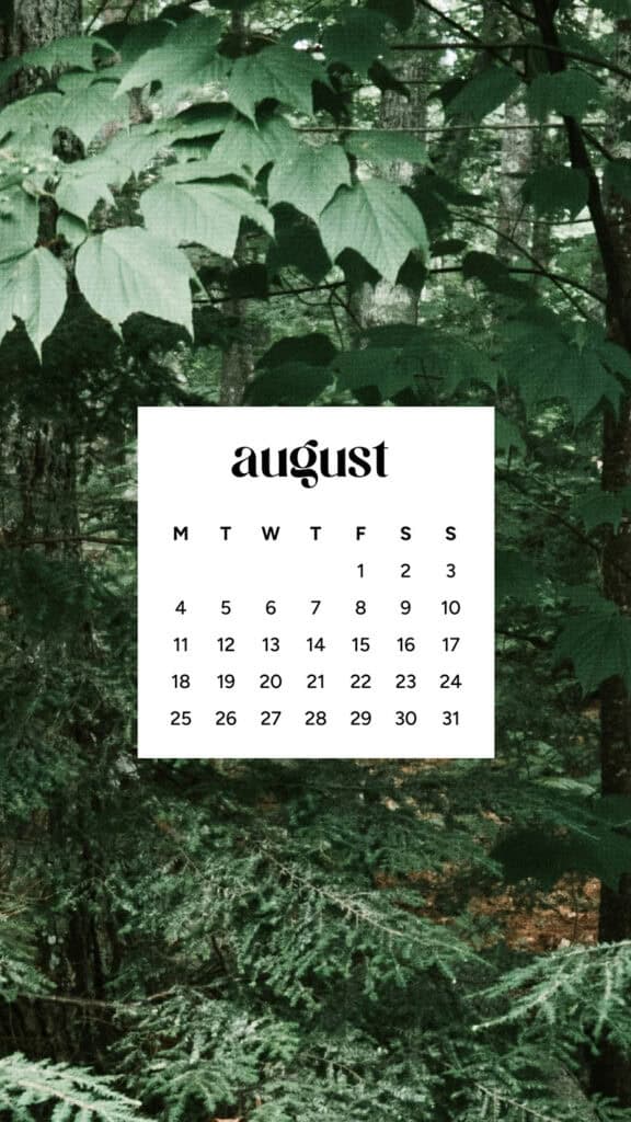 August 2025 Wallpapers – 45 Free Phone &amp; Desktop Calendars!, Oh So Lovely Blog